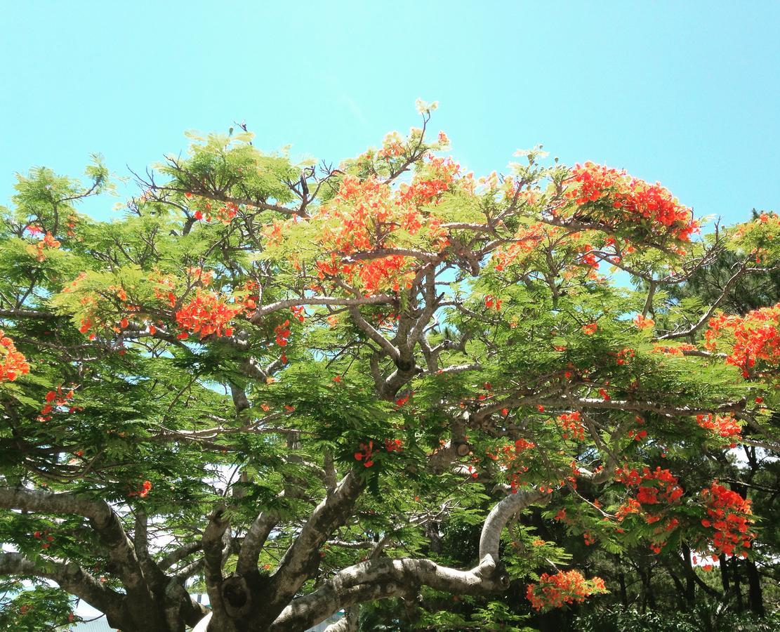 Hostel Gecca Miyakojima  外观 照片